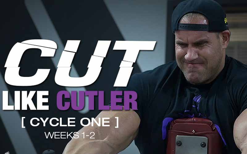 کات به روش کاتلر_دوره اول