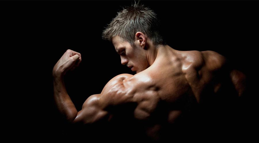 ٥ تمرین کشنده برای حجم بازو و پشت بازو