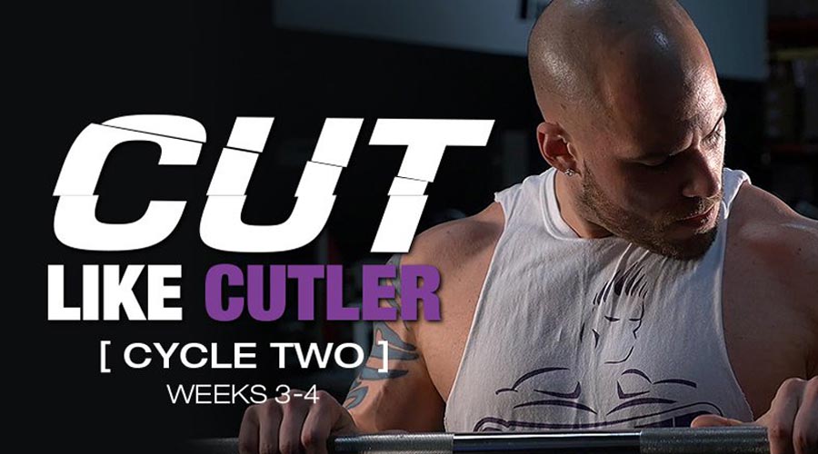 کات به روش کاتلر_دوره دوم