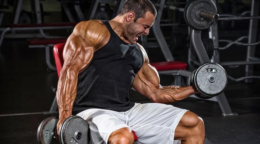 برنامه تمرینی حرفه‌ای برای تفکیک و کات کردن عضلات