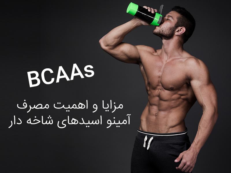 مزایا و اهمیت مصرف آمینو اسید‌های شاخه دار  BCAAs