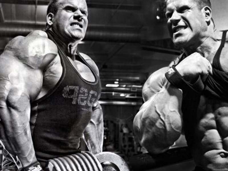 راهنمای کامل مکمل‌ها برای افراد مبتدی