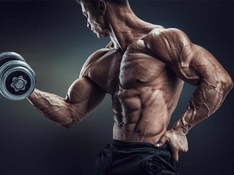 تمام چیزهایی که نیاز دارید برای شیش تیکه کردن شکم و سیکس پک بدانید!