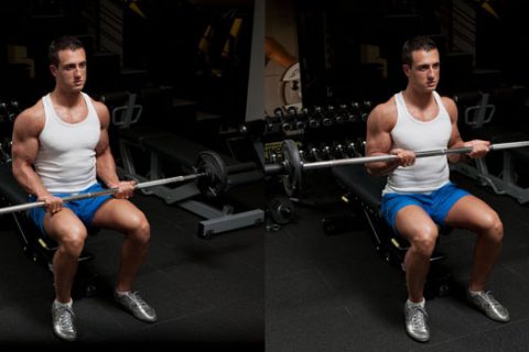 چگونه جلو بازوی بزرگی داشته باشیم؟