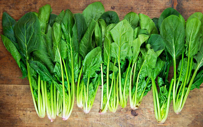 ۱۸ غذایی که به عضله‌سازی کمک می‌کنند