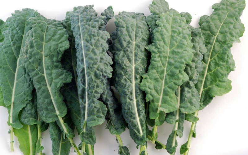 ۱۸ غذایی که به عضله‌سازی کمک می‌کنند