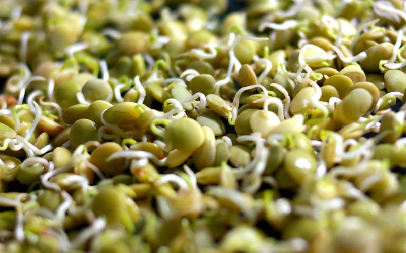 ۱۸ غذایی که به عضله‌سازی کمک می‌کنند