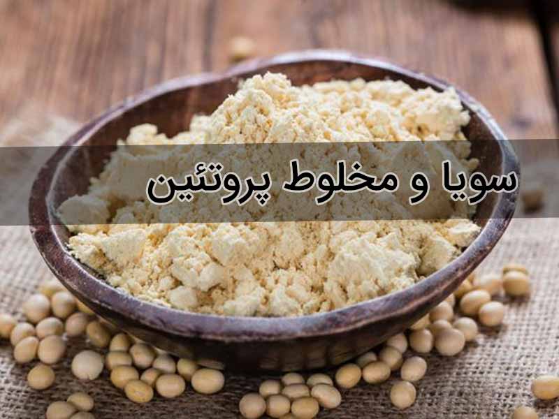 آیا افزودن سویا به مخلوط پروتئین منجر به رشد بیشتر عضلات می شود؟