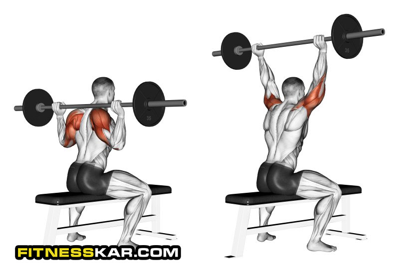 آموزش کامل حرکات سرشانه برای ساختن شانه های پهن 