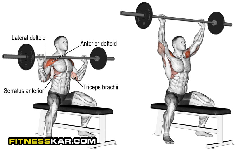 آموزش کامل حرکات سرشانه برای ساختن شانه های پهن 