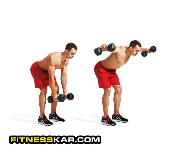 آموزش کامل حرکات سرشانه برای ساختن شانه های پهن 