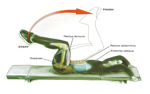 چرا کرانچ معکوس یکی از بهترین حرکات برای تقویت عضلات شکم است؟