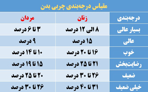 درصد چربی بدن باید چقدر باشد تا عضلات شکم بدون چربی داشته باشید؟