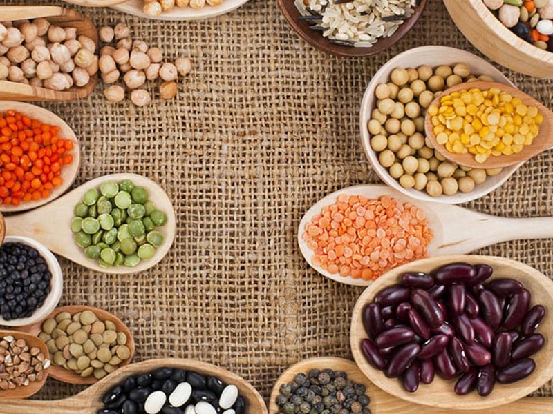 منابع پروتئینی غیر گوشتی