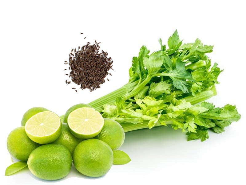 آشنایی با مکمل های کاهش وزن