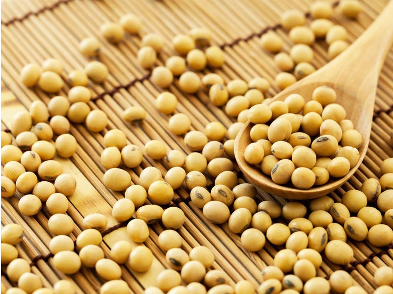 آیا پروتئین سویا برای بدنسازی و رشد عضلات مناسب است؟