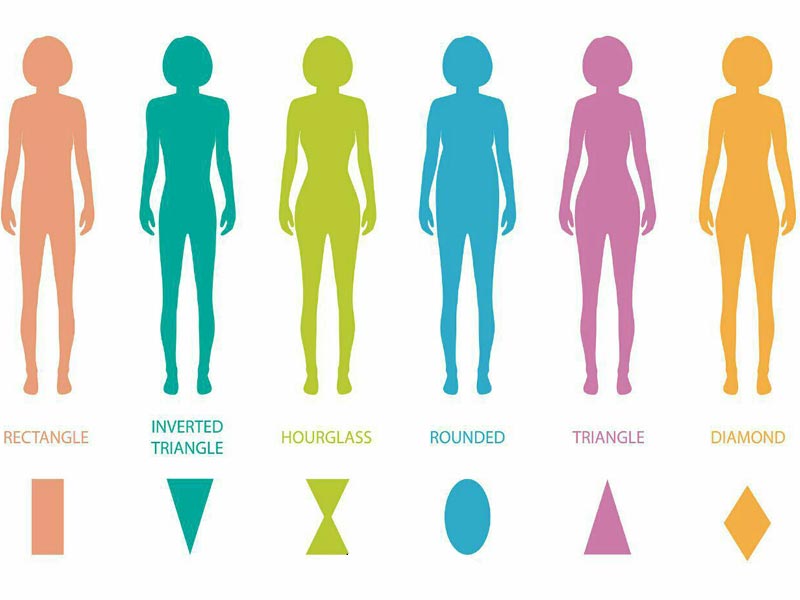 چگونه برای تیپ های بدنی بهترین رژیم غذایی را انتخاب کنیم؟