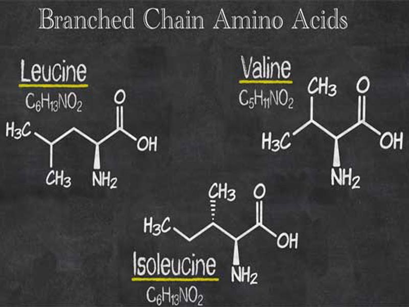 بی سی ای ای ، فواید BCAA و مصرف BCAA