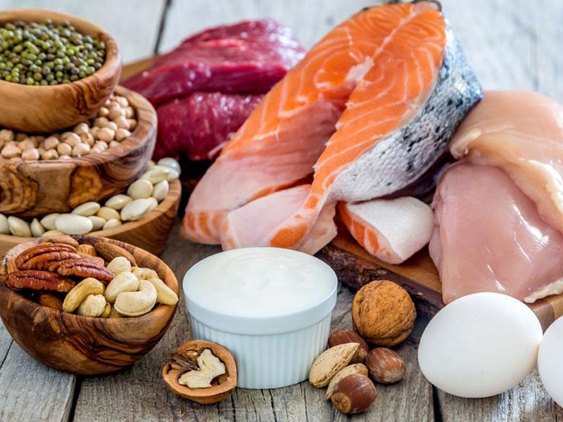 بهترین پروتئین برای بدنسازی چیست؟