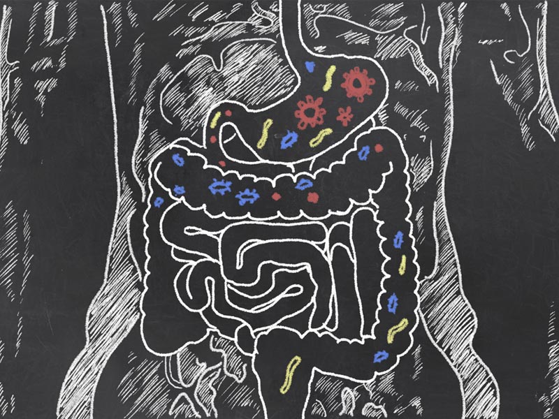 پروبیوتیک چیست؟ آیا پروبیوتیک به ریکاوری بعد از ورزش کمک می‌کنند؟