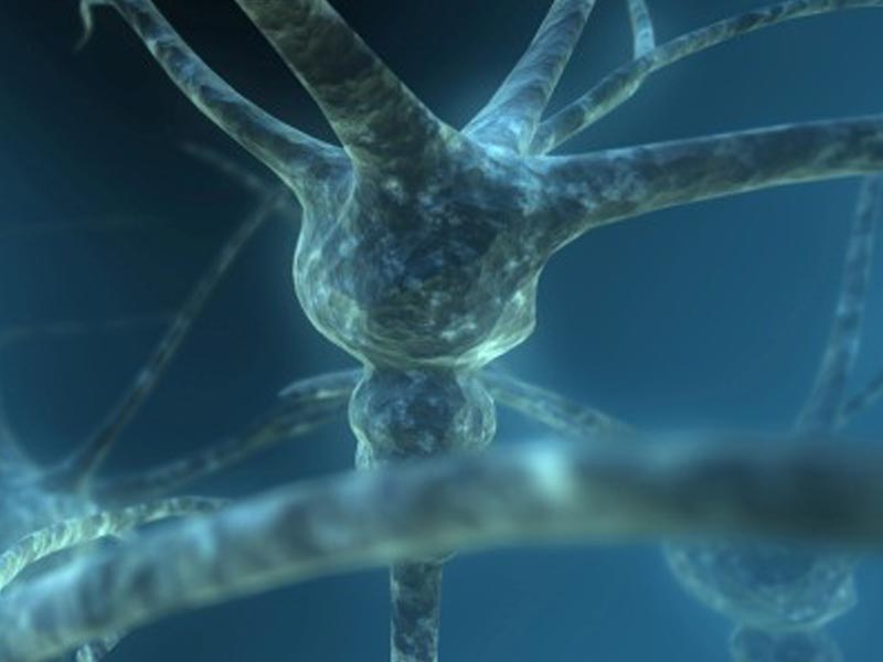 سازگاری‌ عصبی – عضلانی در تمرینات مقاومتی چگونه اتفاق می‌افتد؟