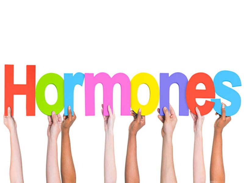 ارتباط میان ورزش‌های هوازی و رشد عضلات – دوست یا دشمن؟