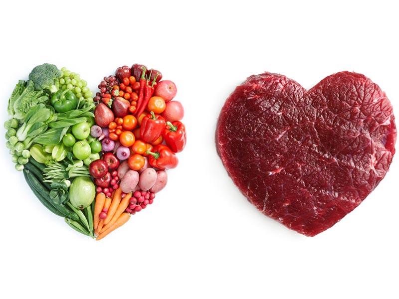 پروتئین حیوانی چه تفاوتی با پروتئین گیاهی دارد؟ کدام بهتر است؟