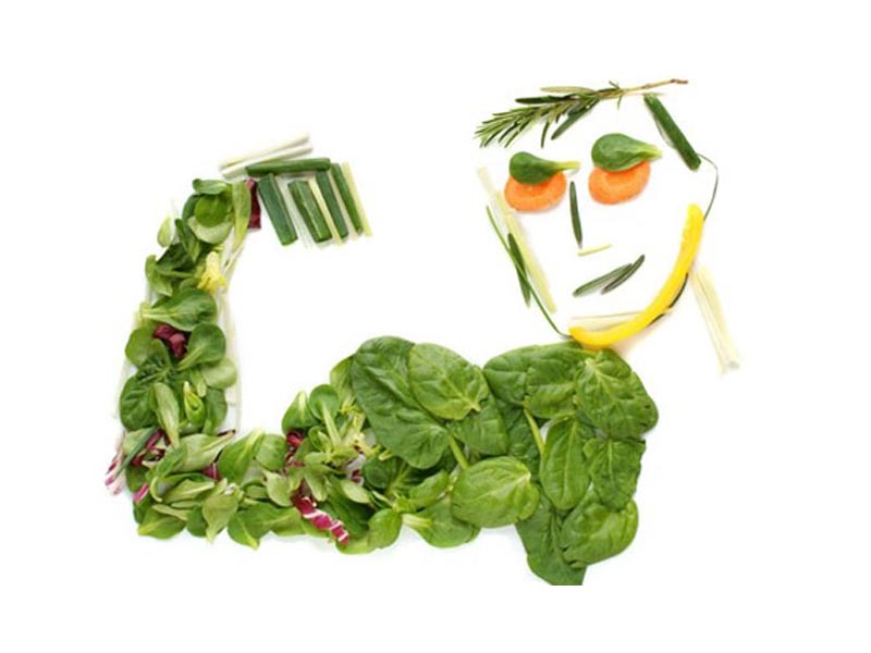 پروتئین حیوانی چه تفاوتی با پروتئین گیاهی دارد؟ کدام بهتر است؟