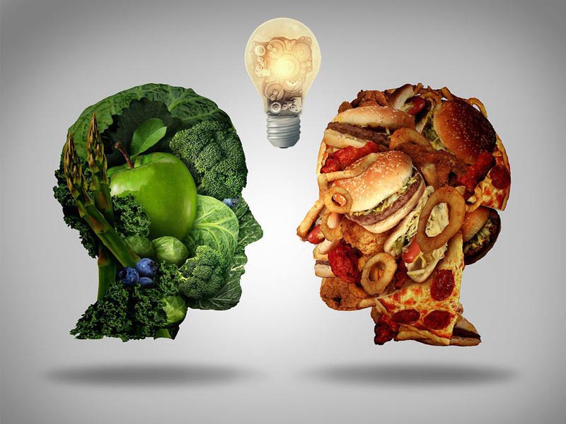 پروتئین حیوانی چه تفاوتی با پروتئین گیاهی دارد؟ کدام بهتر است؟