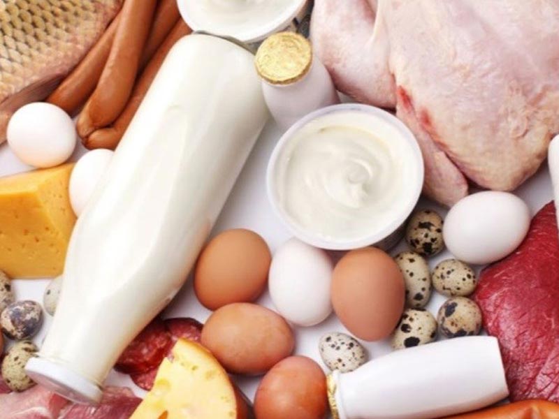 بهترین نوع پروتئین برای افزایش سنتز پروتئین در عضلات چیست؟