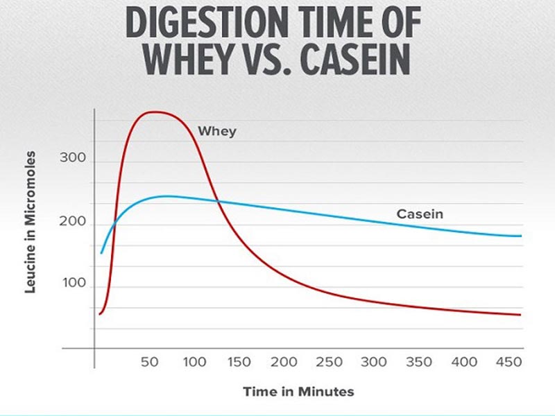 تفاوت بین پروتئین وی و پروتئین کازئین چیست؟