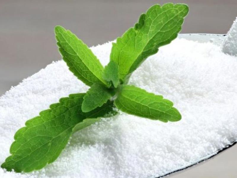 استویا چیست، فواید جایگزین طبیعی شکر را بشناسید