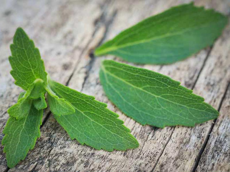 استویا چیست، فواید جایگزین طبیعی شکر را بشناسید