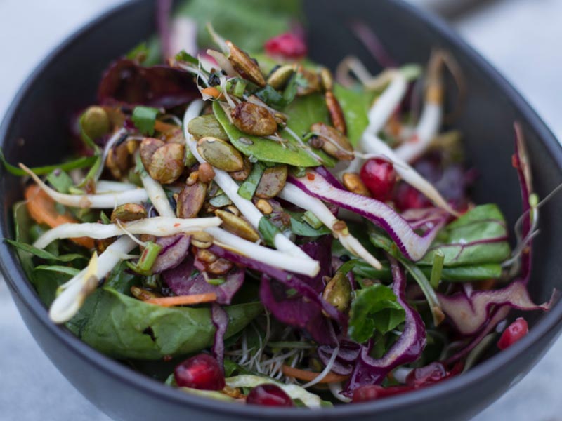 پری بیوتیک ها و پروبیوتیک ها چه هستند و چه کاری انجام می دهند؟