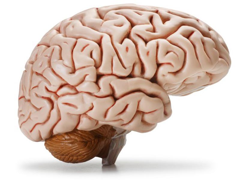 مکمل ال کارنیتین چیست؛ فواید، عوارض ال کارنیتین و تاثیر آن بر لاغری