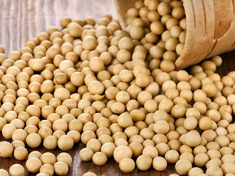 غذای شگفت انگیز برای بانوان