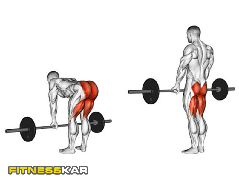 بهترین تمرینات برای فرم دادن و بزرگ کردن باسن