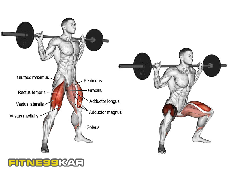 بهترین تمرینات برای فرم دادن و بزرگ کردن باسن