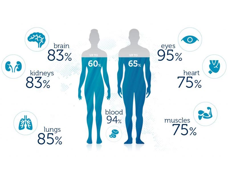 وزن آب بدن چیست ( احتباس آب بدن ) چه مزایا و معایبی دارد؟