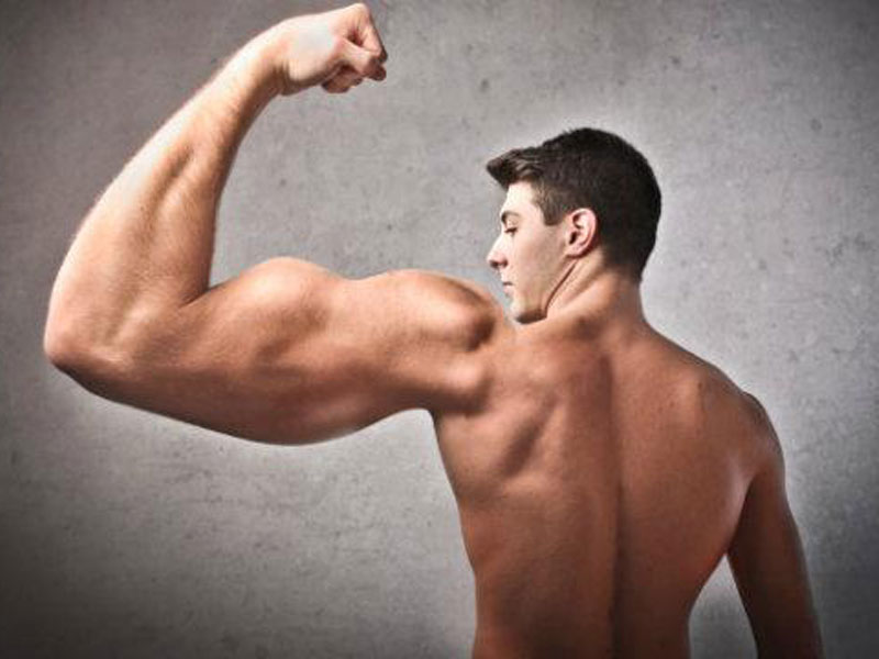 نحوه و مراحل عضله سازی در بدنسازی چگونه است؟