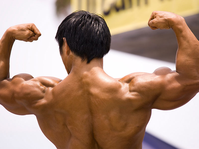 حداکثر عضله سازی در بدنسازی