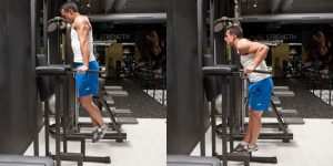 معرفی برترین حرکات برای عضلانی کردن پشت بازو