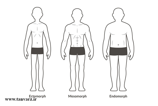 آیا بدنسازان به تمرینات کاردیو نیاز دارند؟