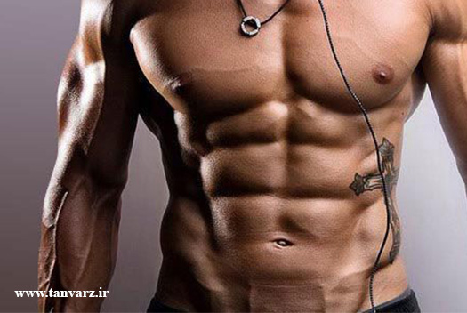 تأثیر شنا در بدنسازی