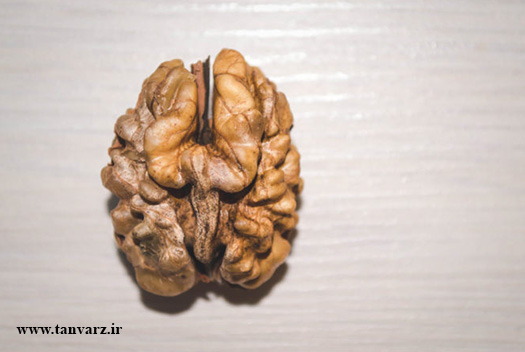 ۱۰ نکته‌‌ای که باید در عضله سازی بدانید