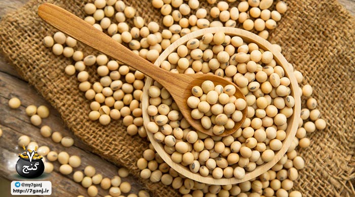 آشنایی با روش های کاهش وزن سریع با چربی سوزی برای ورزشکاران