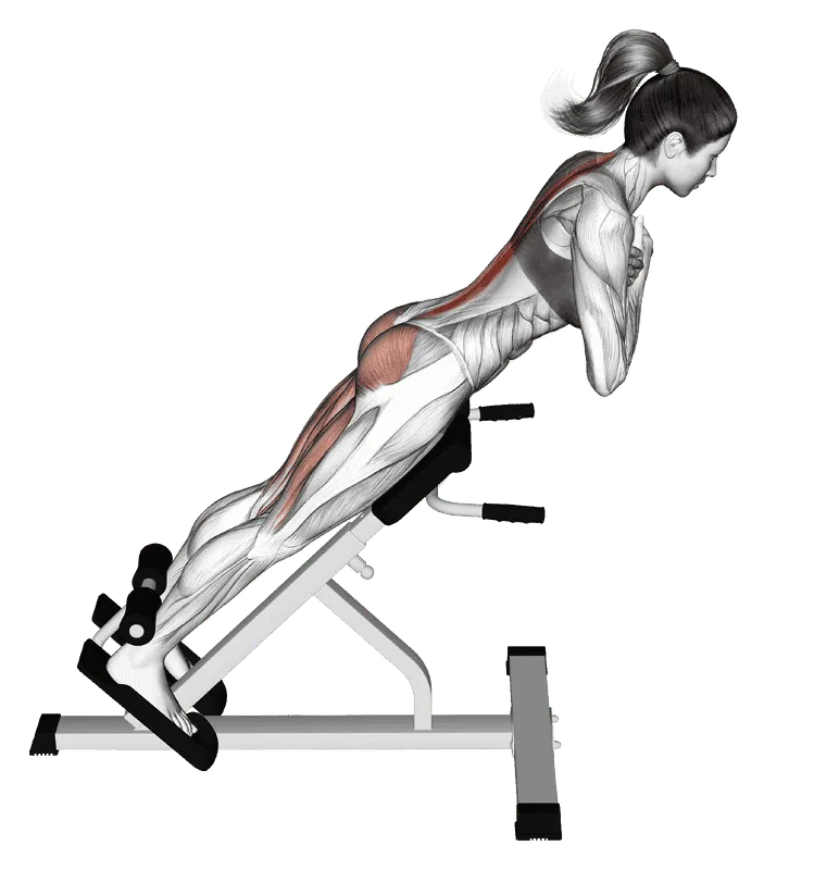 45-Degree Hyperextension (Arms in Front of Chest)