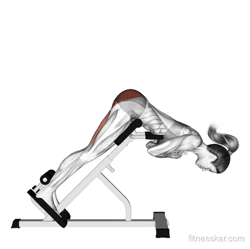 45-Degree Hyperextension