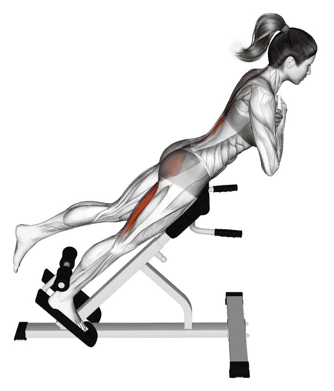 45-Degree One-Leg Hyperextension (Arms in Front of Chest)