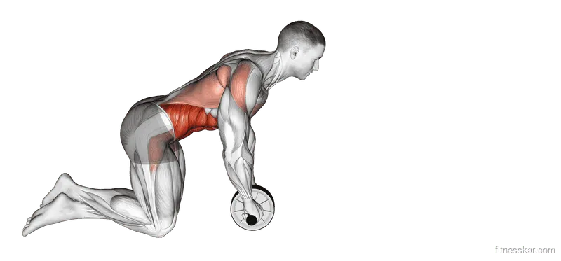 Ab Wheel Rollout